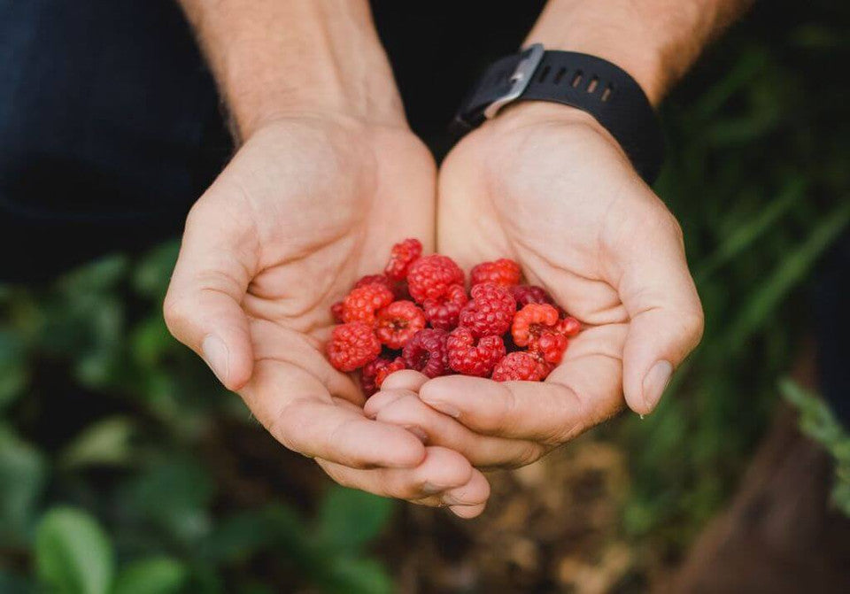 The Summer Seasonal Fruits & Veggie Guide