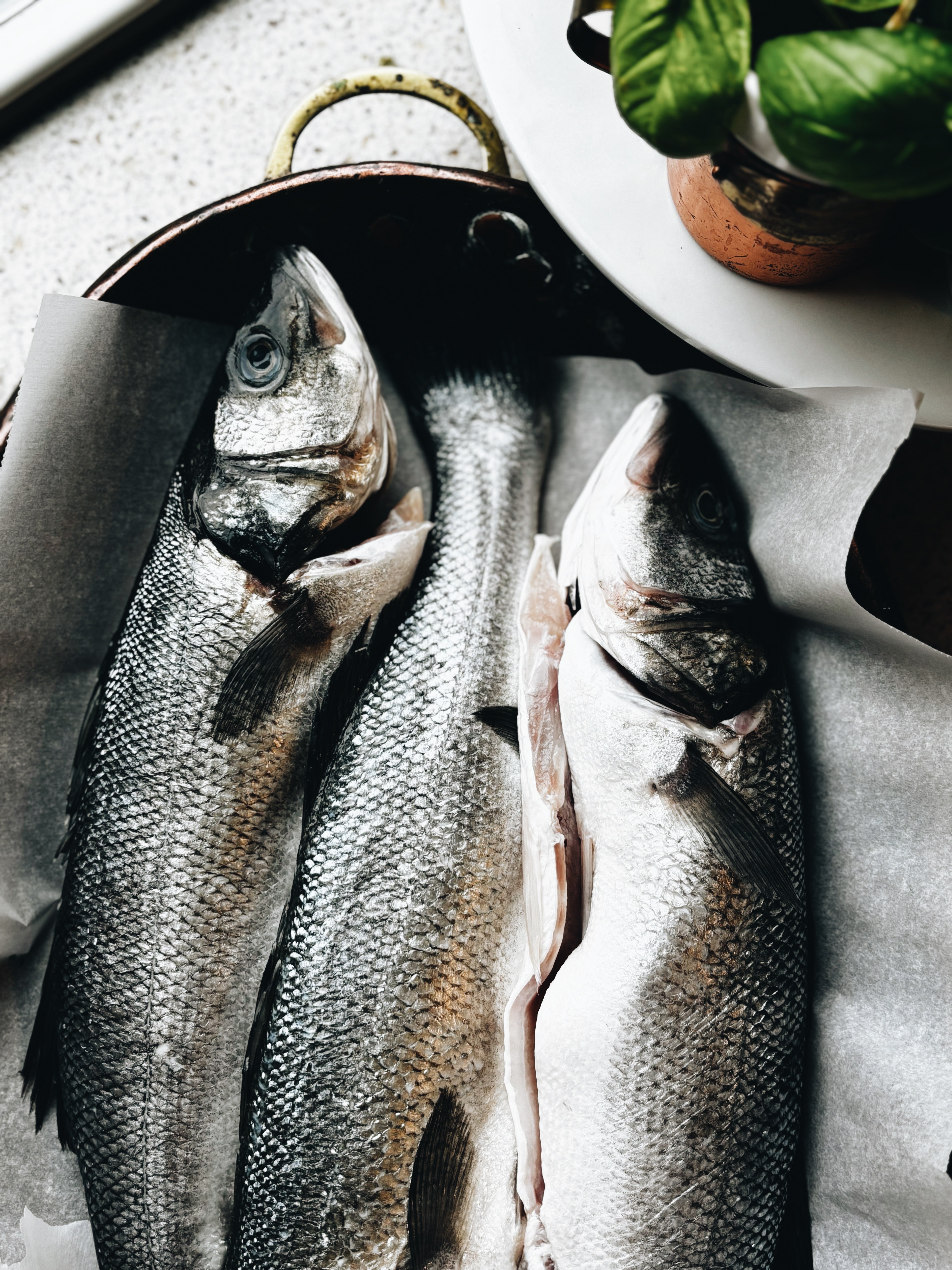 Healthy Fats Explained: Science Made Simple